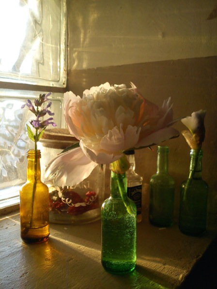 DSC00422